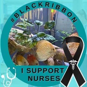 Meet your Posher, Darren